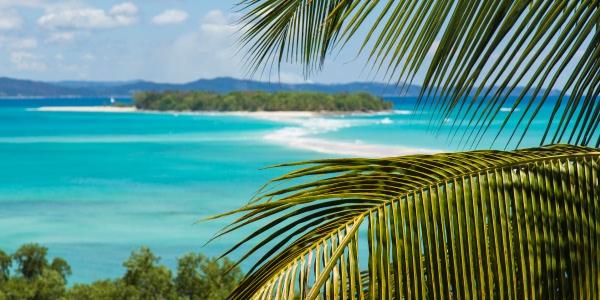  Cosa vedere oltre ai baobab in Madagascar