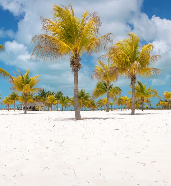 Le 5 spiagge più belle di Cayo Largo | Racconti di viaggio Alpitour