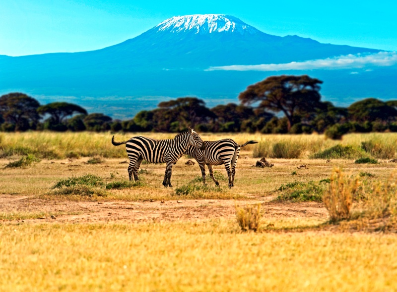 Cosa vedere in Kenya in 7 giorni: itinerari e attività