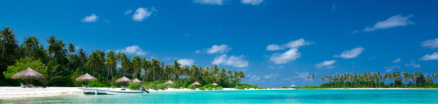 spiaggia con palme e acque cristalline di un mare tropicale 