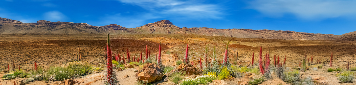 vista su vulcano e parco nazionale del Teide, Tenerife, isole Canarie, Spagna