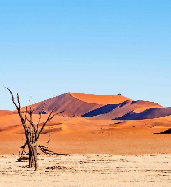 Cosa vedere in Namibia in 10 giorni | Racconti di viaggio Alpitour