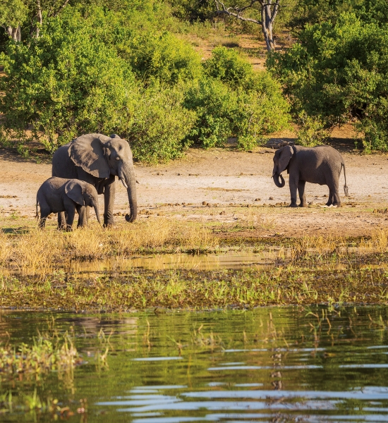 Safari in Tanzania, parco di Ngorongoro