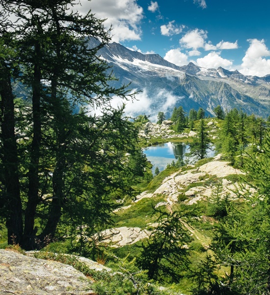 10 parchi e aree naturali da visitare in Piemonte | Racconti di viaggio Alpitour