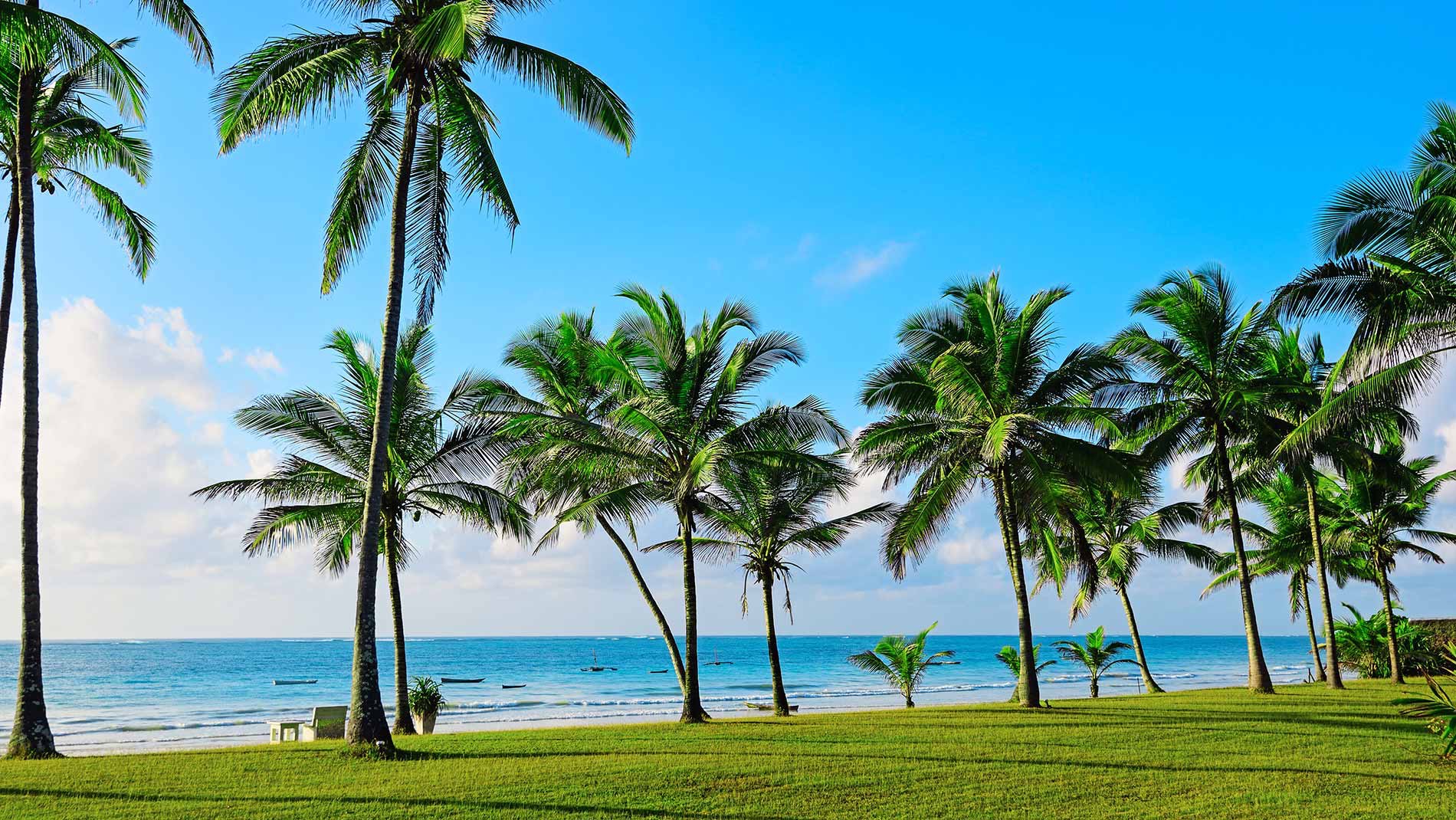 Pacchetti vacanze Diani