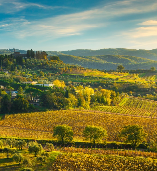 Itinerari di viaggio e enogastronomici nelle colline del Chianti | Racconti di viaggio Alpitour