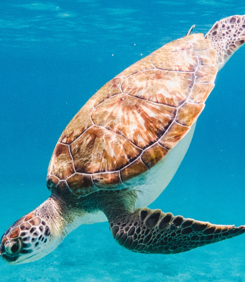 Cosa fare nel Salento oltre il mare