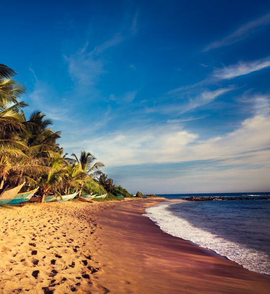 Le 5 spiagge più belle dello Sri Lanka | Racconti di viaggio Alpitour