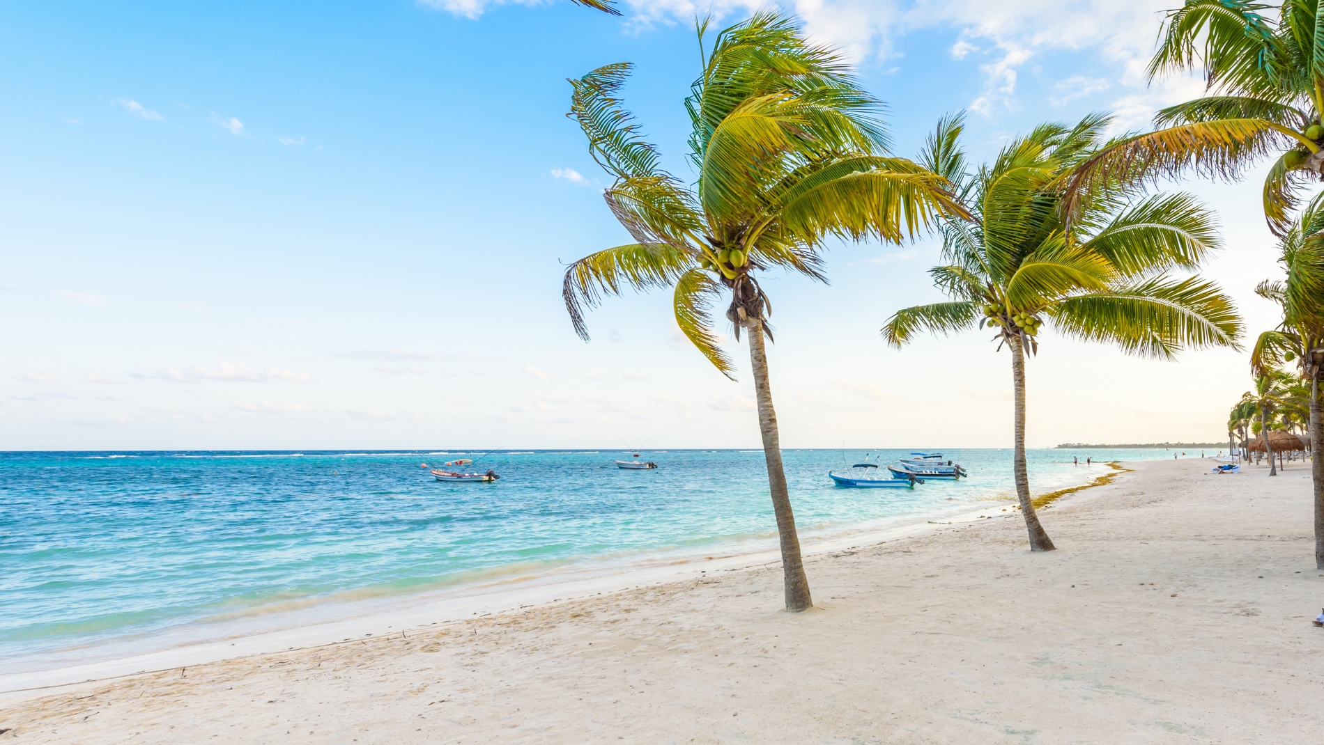 Pacchetti vacanza Akumal