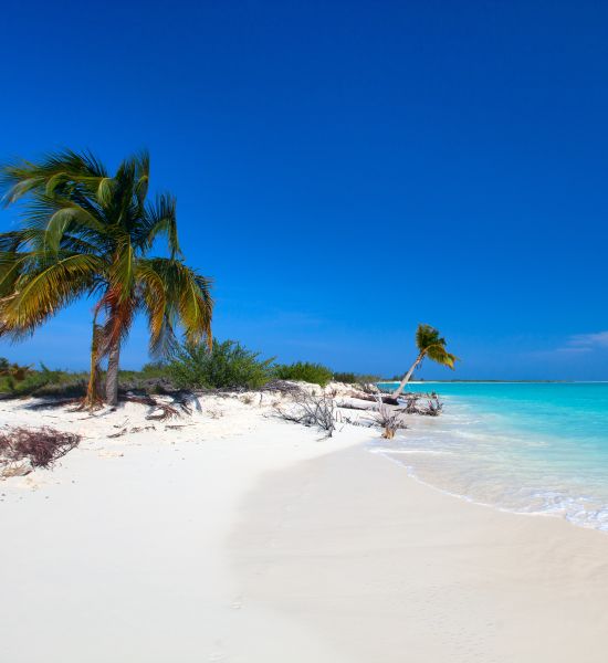 Cosa vedere a Cayo Largo in 7 giorni | Racconti di viaggio Alpitour