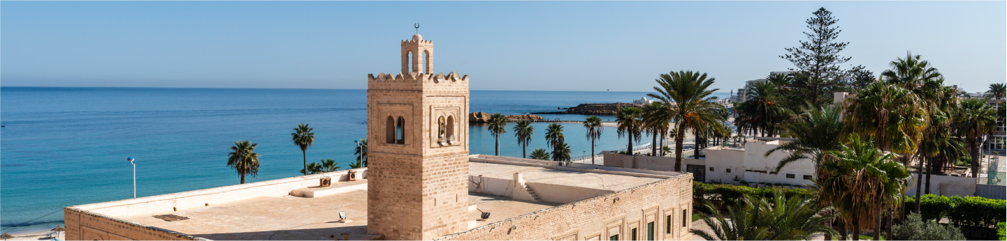 vista dall'alto su mare e Grande Moschea di Monastir Tunisia