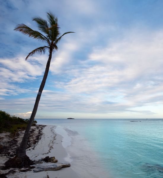 Le 10 spiagge più belle di Antigua | Racconti di viaggio Alpitour