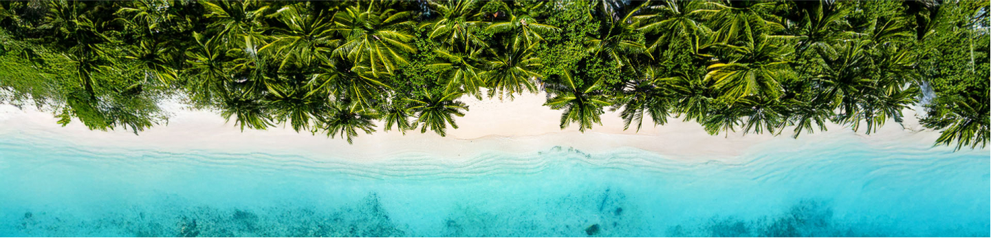 vista dall'alto su spiaggia tropicale con mare azzurro chiaro e palme