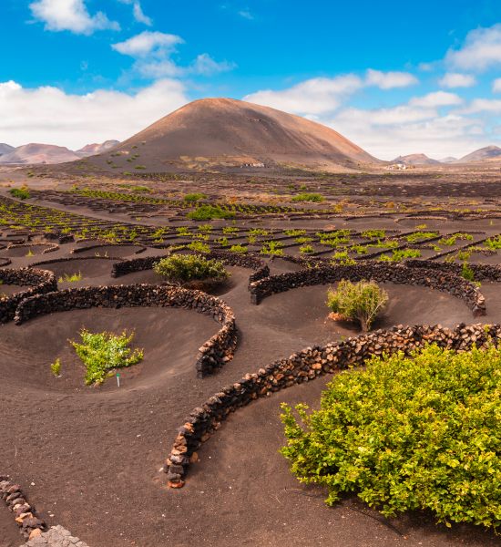 Panorama delle Canarie tra Lanzarote e Fuerteventura