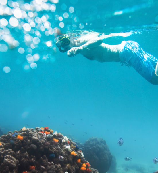 Dove fare immersioni a Cuba | Racconti di viaggio Alpitour