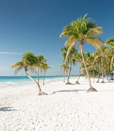 Spiaggia tropicale, Tulum, Messico