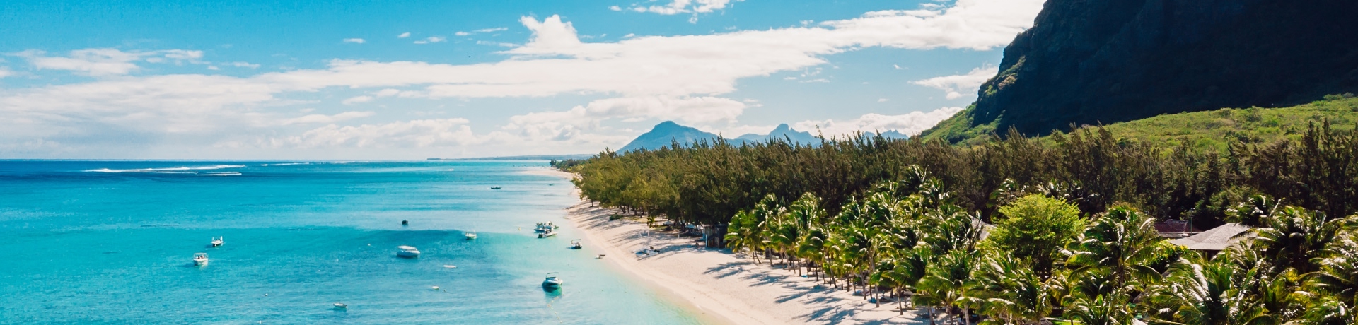 Spiaggia di lusso con montagna a Mauritius. Spiaggia sabbiosa con palme e oceano blu. veduta aerea