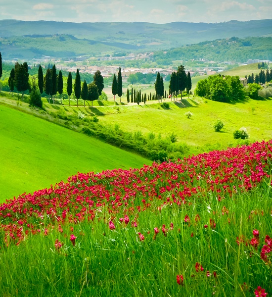 I luoghi del Boccaccio a Certaldo | Racconti di viaggio Alpitour