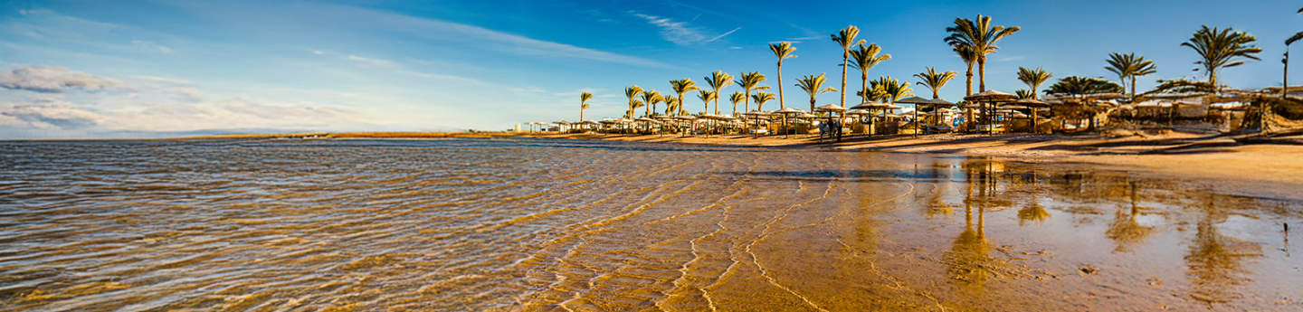 spiaggia dorata di Hurghada, con palme e ombrelloni, Mar Rosso, Egitto