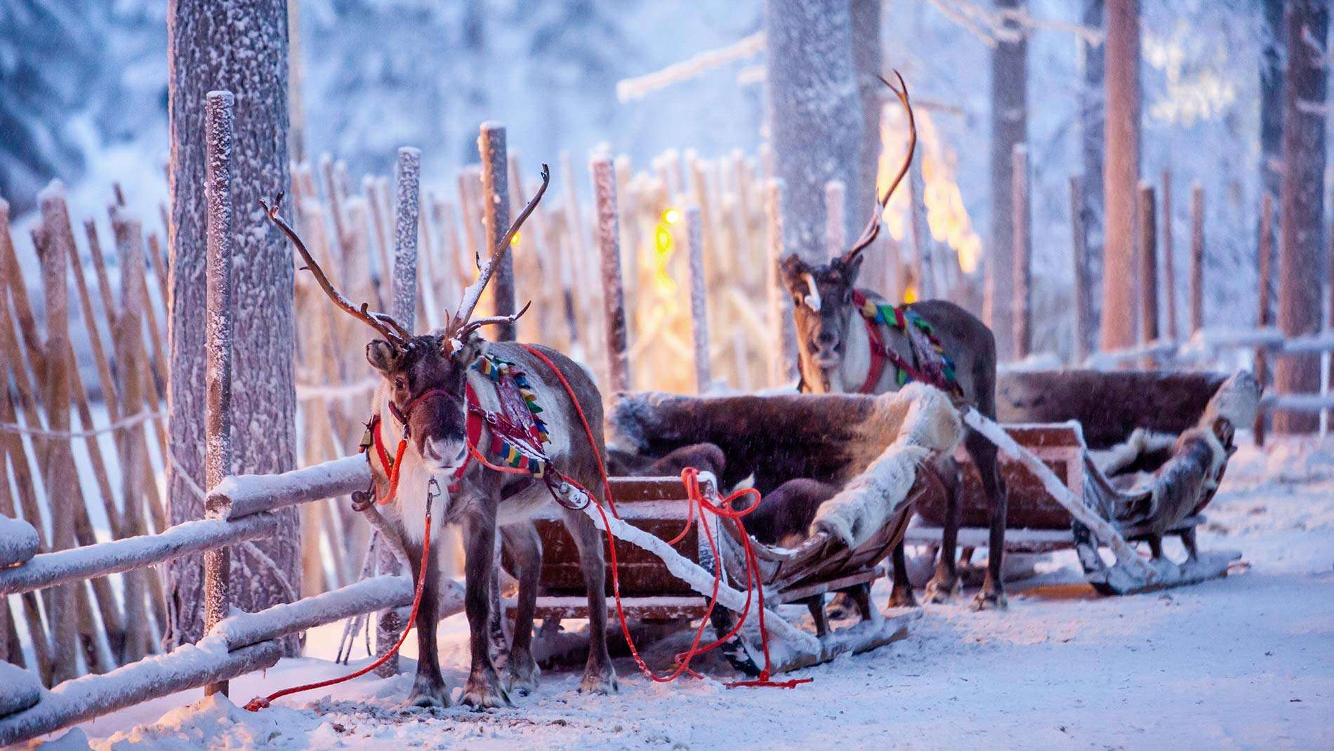 Pacchetti vacanze Finlandia