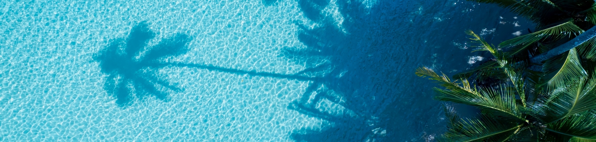 Palma estiva e spiaggia tropicale con onde Aqua e ombra di palma da cocco su sfondo blu.