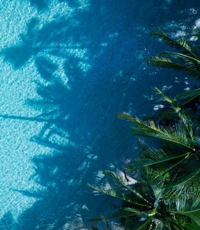 Palma estiva e spiaggia tropicale con onde Aqua e ombra di palma da cocco su sfondo blu.