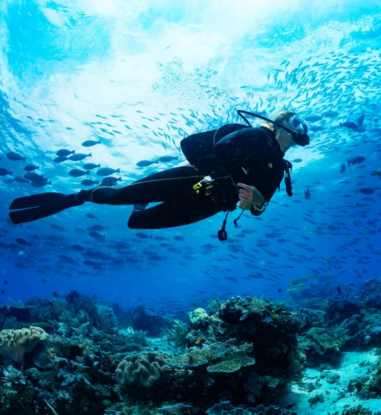 Dove fare immersioni a Santo Domingo | Racconti di viaggio Alpitour