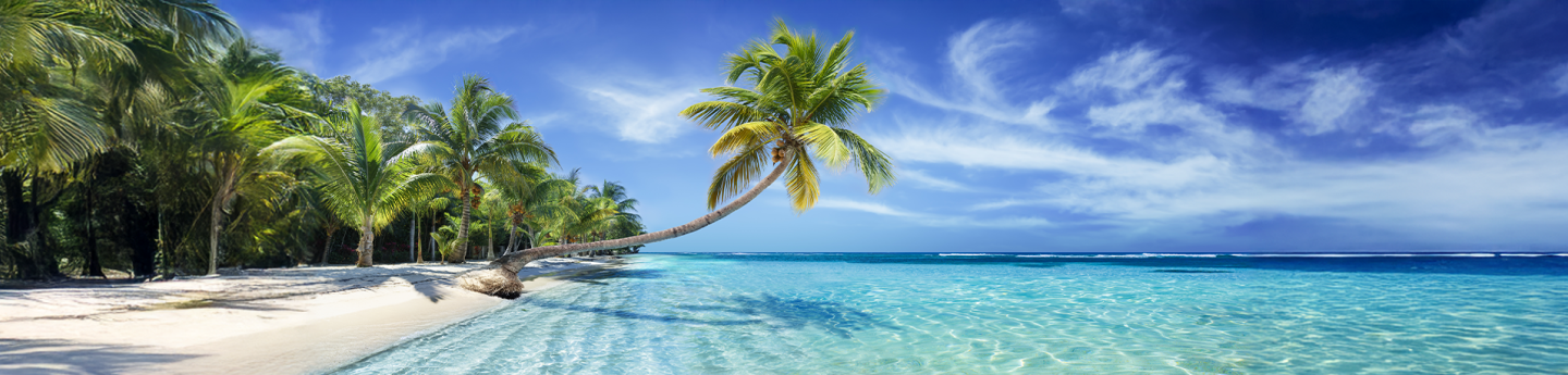 spiaggia caraibica con sabbia bianca, palme e mare cristallino, Messico