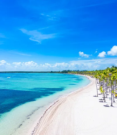 Vista aerea della spiaggia di Bavaro con sabbia bianca e palme 