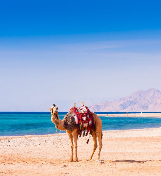 Hurghada cosa vedere in 7 giorni | Racconti di viaggio Alpitour