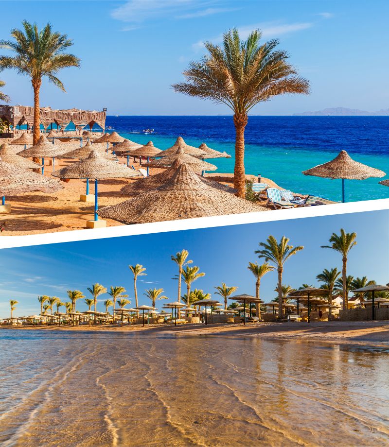 Marsa Ala e Sharm el Sheikh, Mar Rosso, Egitto