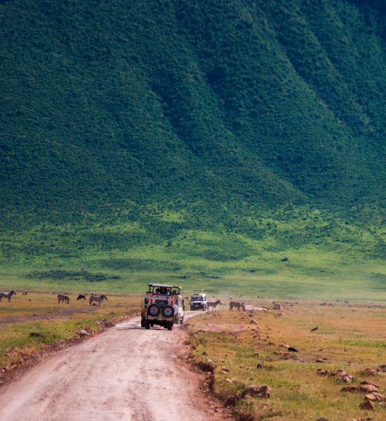 Safari in Africa 