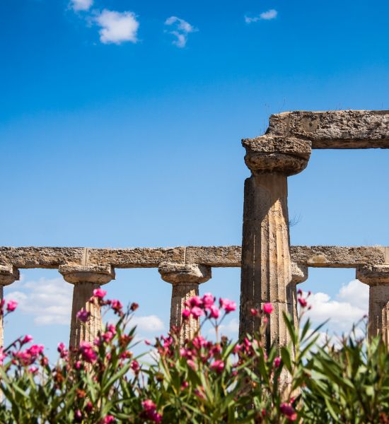 Parco archeologico di Metaponto | Racconti di viaggio Alpitour