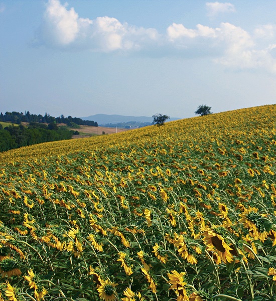 10 parchi e aree naturali da visitare in Abruzzo | Racconti di viaggio Alpitour