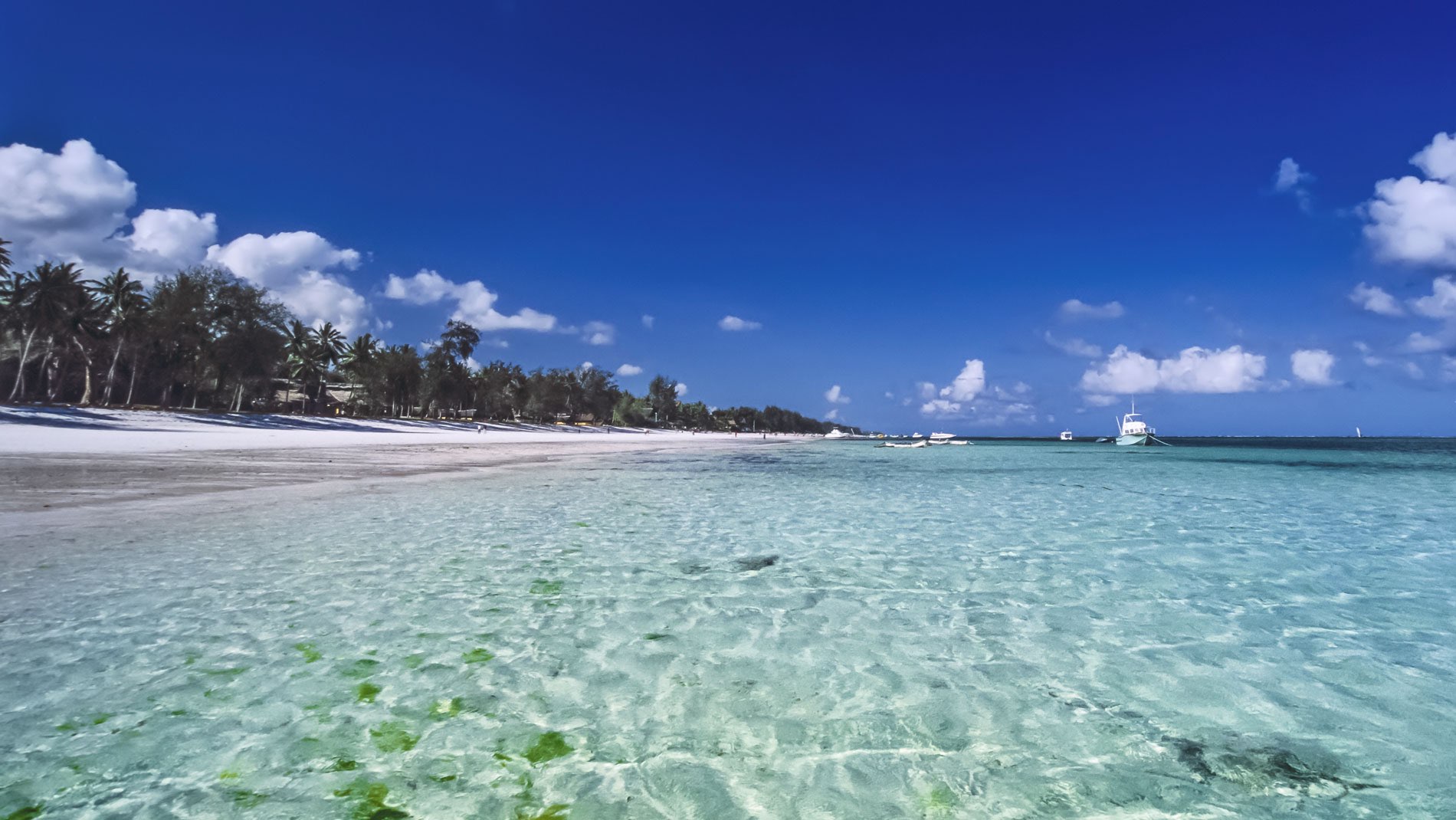 Pacchetti vacanze Malindi