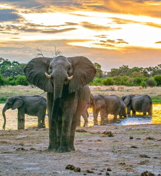 Safari in Tanzania, parco di Tarangire