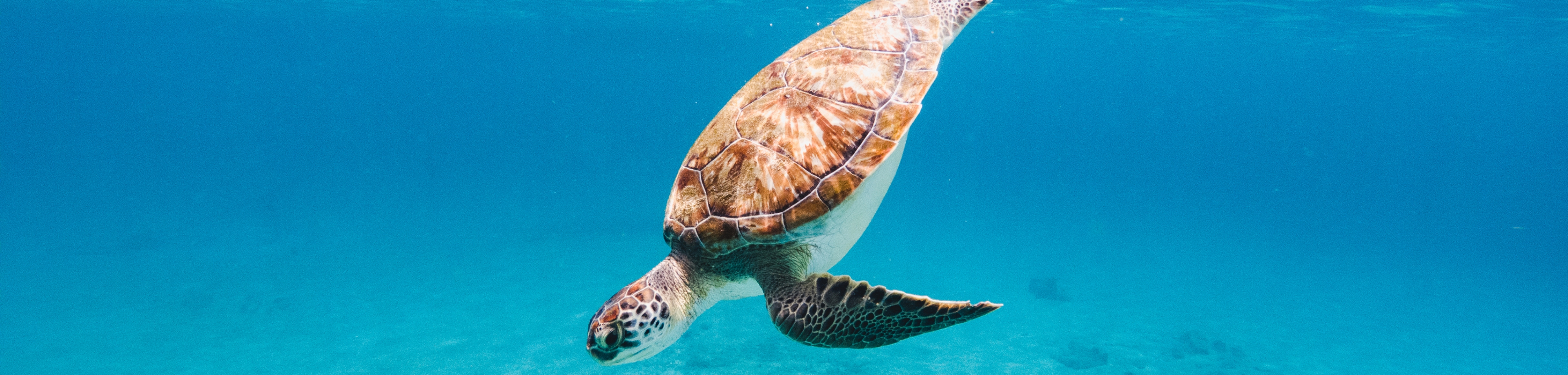 Cosa fare nel Salento oltre il mare