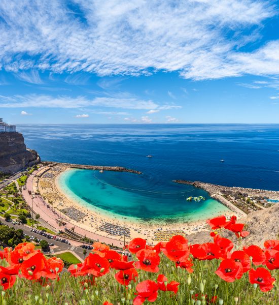 Le 10 spiagge più belle delle Canarie | Racconti di viaggio Alpitour