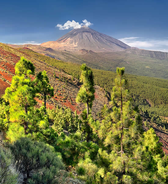 parco nazionale del Teide - Tenerife