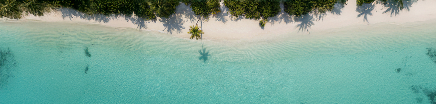 spiaggia tropicale di sabbia bianca con mare cristallino e palme, Maldive
