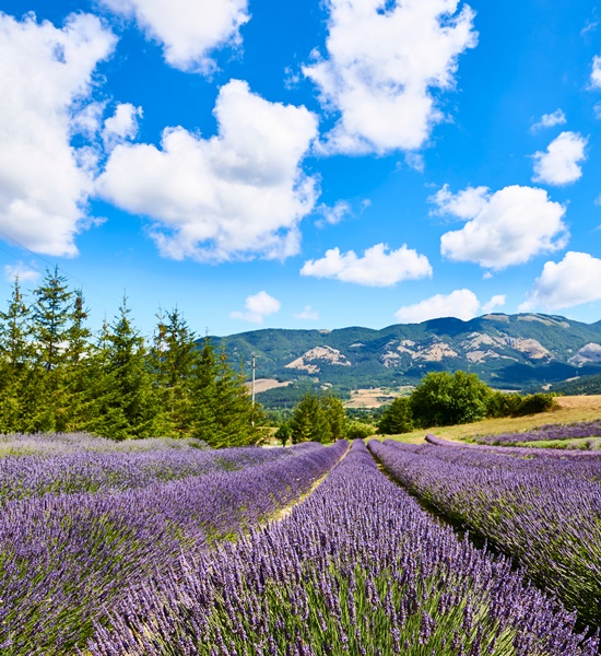 10 parchi e aree naturali da visitare in Calabria | Racconti di viaggio Alpitour