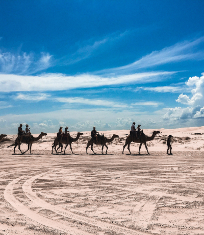 Cammelli che camminano del deserto in fila