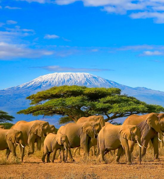 Kenya cosa vedere in 7 giorni | Racconti di viaggio Alpitour