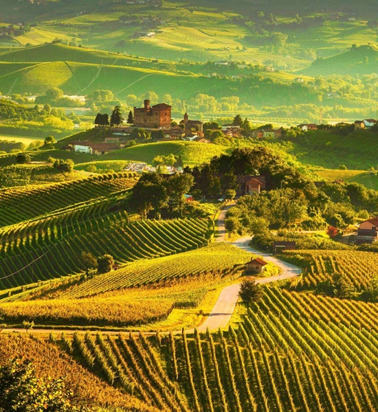10 Tour enogastronomici in Piemonte | Alpitour