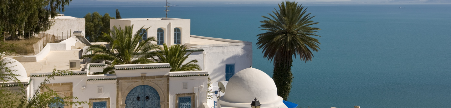 vista panoramica sul mare da Sidi Bou Said Tunisia